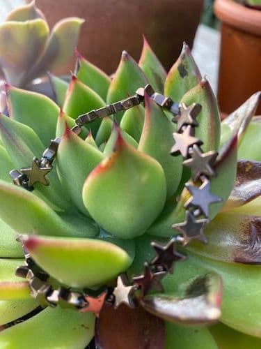 Star Bracelet - Bronze