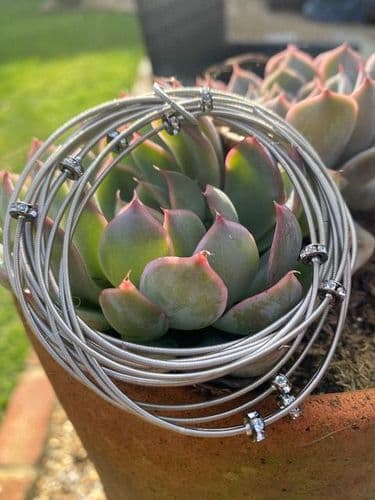 Tara Bracelet - Silver